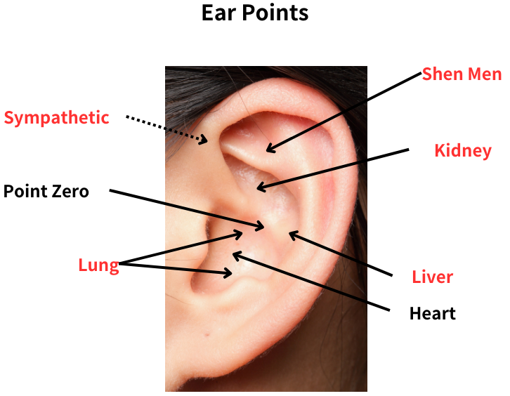 Ear Points (NADA) Ear Points (NADA)