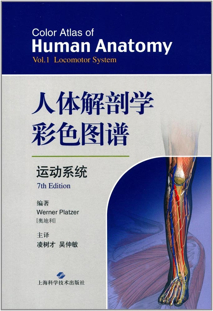 人体解剖学图谱 人体解剖学图谱