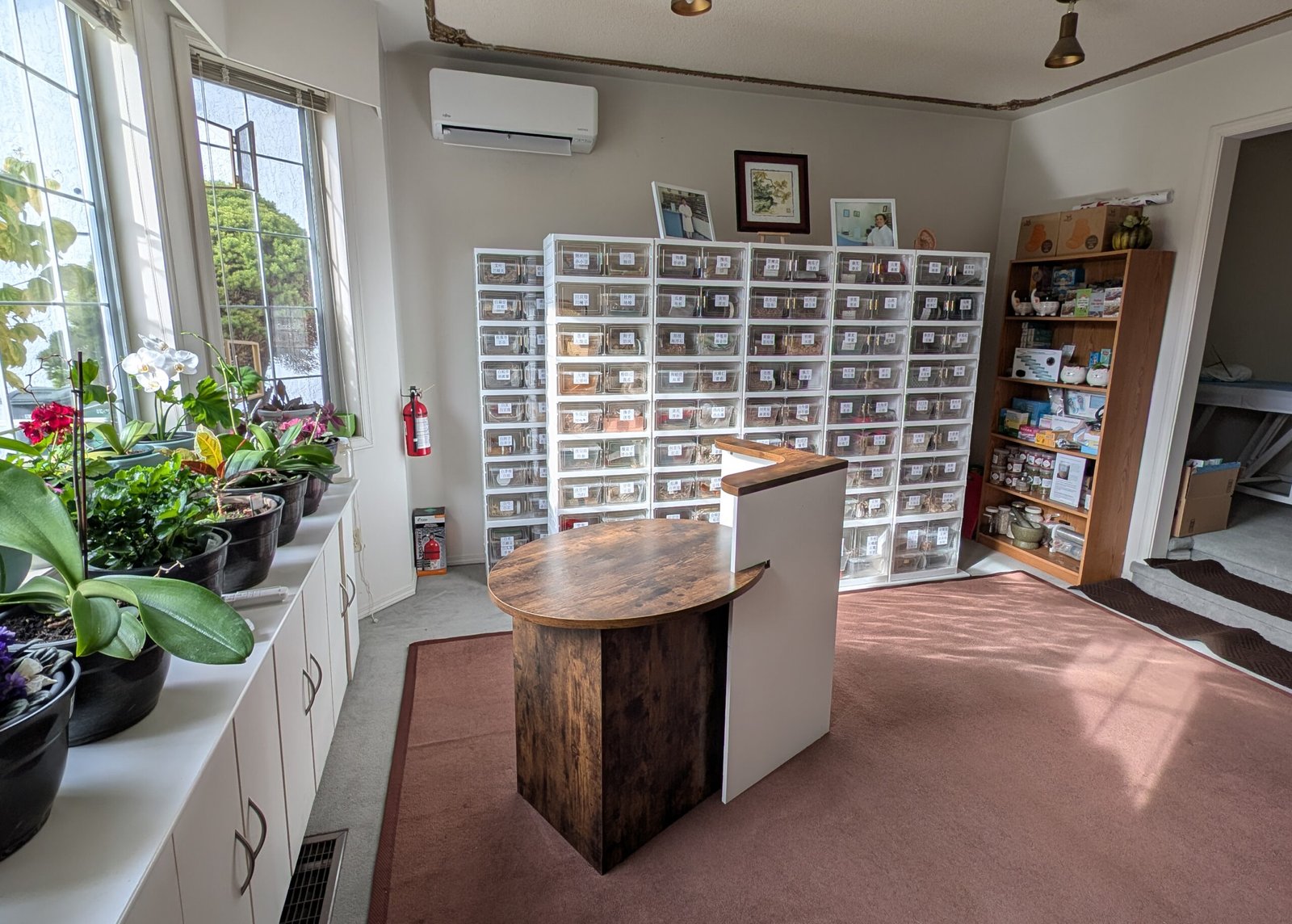 Jin Tripp Health Services （Acupuncture Clinic）